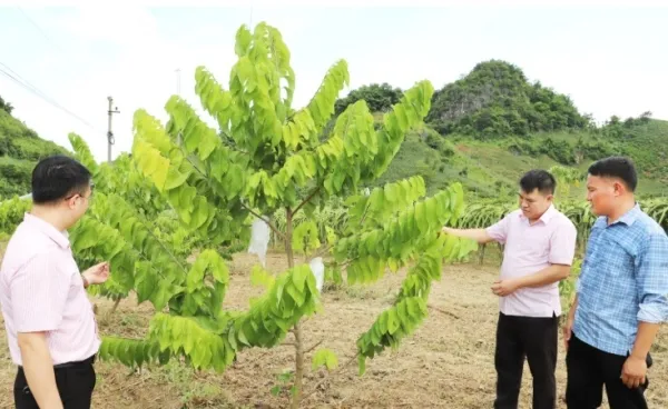 Dịch Vụ Hỗ Trợ Nông Dân 24/7 Từ Đan Nông