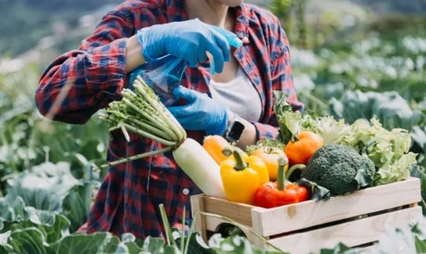 Xu Hướng Nông Nghiệp Hữu Cơ 2025